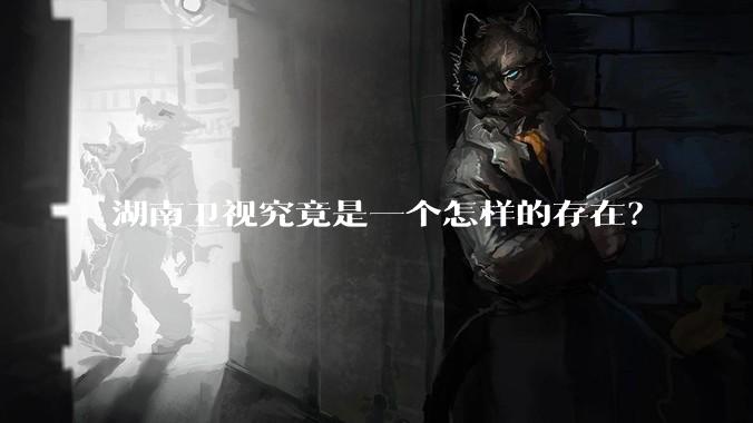 湖南卫视究竟是一个怎样的存在？