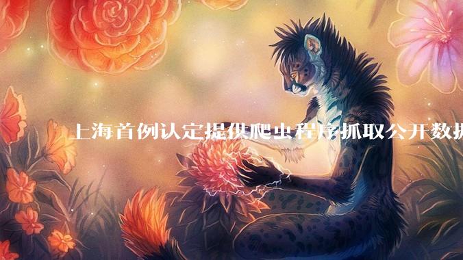 上海首例认定提供爬虫程序抓取公开数据构成提供侵入计算机信息系统程序罪案，该案件有哪些细节值得关注？