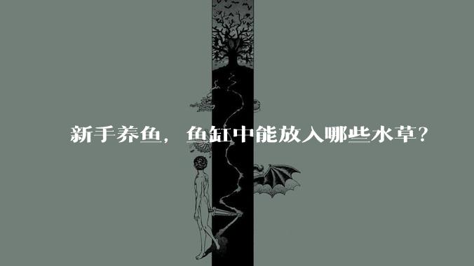 新手养鱼，鱼缸中能放入哪些水草？