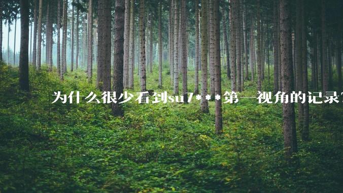 为什么很少看到su7***第一视角的记录？