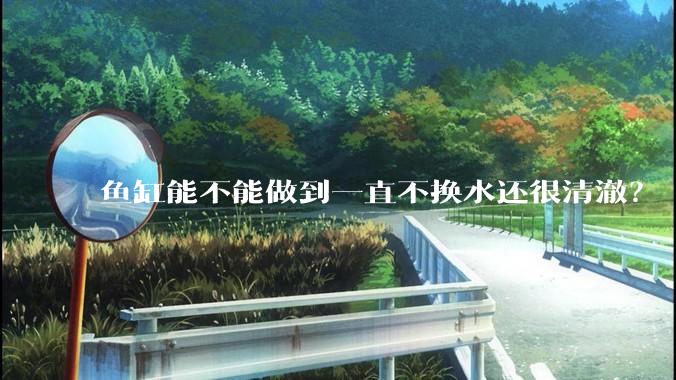 鱼缸能不能做到一直不换水还很清澈？