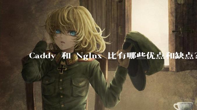 Caddy 和 Nginx 比有哪些优点和缺点？