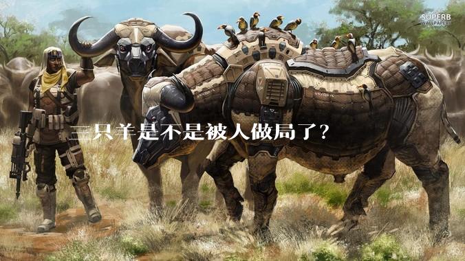 三只羊是不是被人做局了？