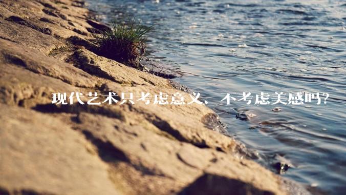 现代艺术只考虑意义、不考虑美感吗？