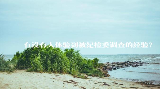 有没有人体验到被纪检委调查的经验？