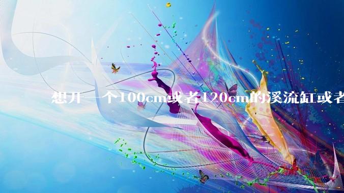 想开一个100cm或者120cm的溪流缸或者水草缸，有没有大佬指导一下，有哪些注意事项？