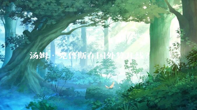 汤姆·克鲁斯在国外算几线？