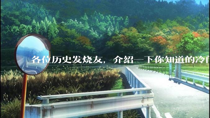 各位历史发烧友，介绍一下你知道的冷门史实或逆天史实？