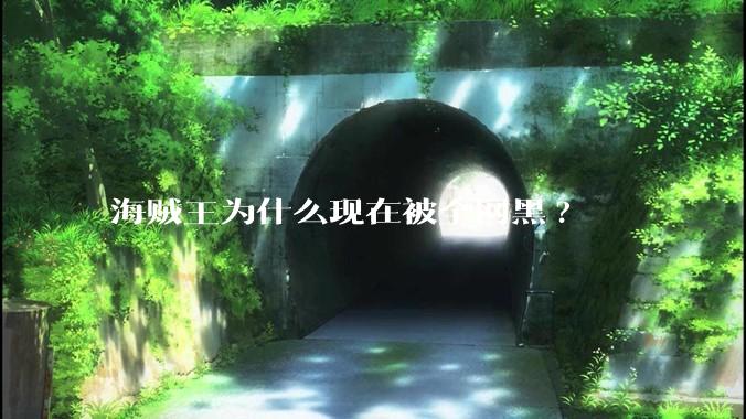 海贼王为什么现在被全网黑?