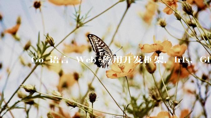 Go 语言 Web 应用开发框架，Iris、Gin、Echo，哪一个更适合大型项目？