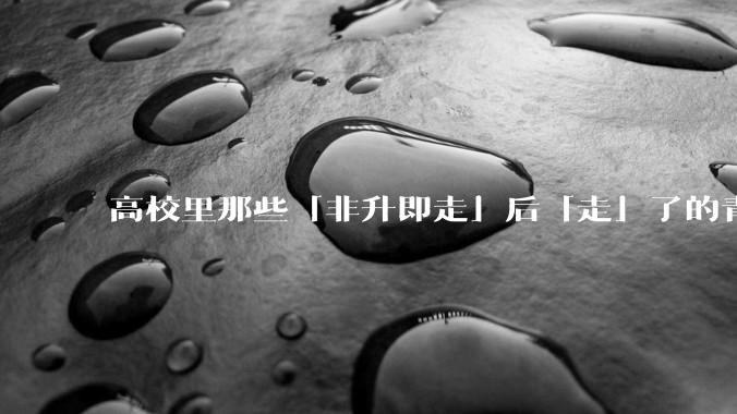 高校里那些「非升即走」后「走」了的青年教师都怎么样了？