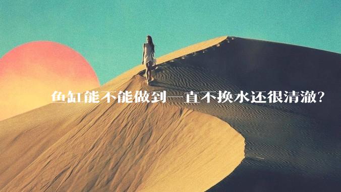 鱼缸能不能做到一直不换水还很清澈？