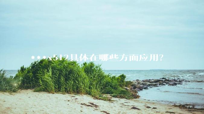 ***x512具体在哪些方面应用？