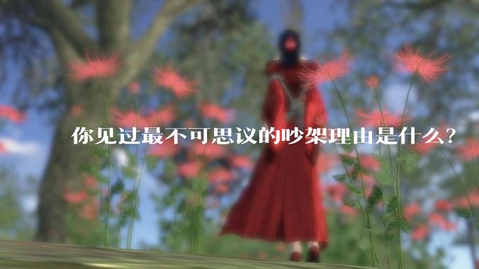 你见过最不可思议的吵架理由是什么？