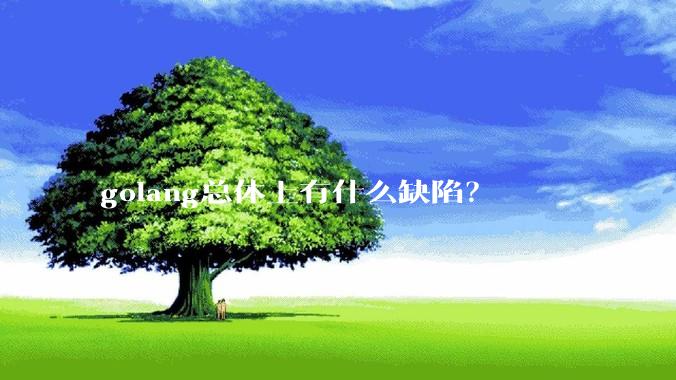 golang总体上有什么缺陷？