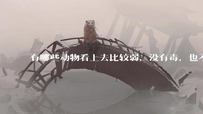 有哪些动物看上去比较弱，没有毒，也不是没肉可吃，但食肉动物一般不吃它？