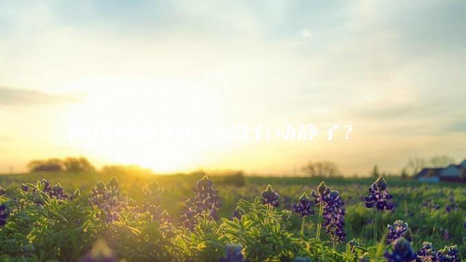 阿里网盘为什么没有动静了？