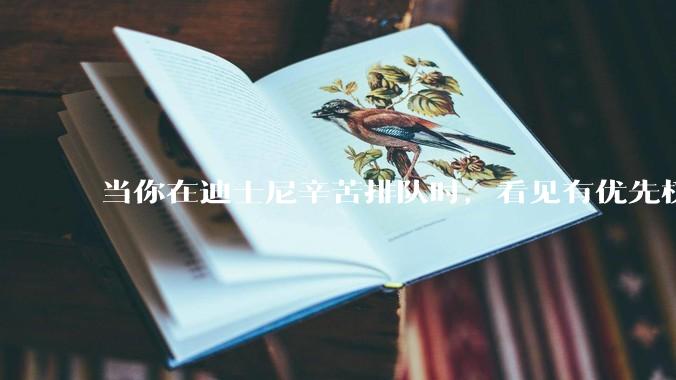 当你在迪士尼辛苦排队时，看见有优先权的人去游玩，你是什么感觉呢？