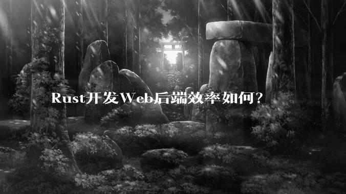 Rust开发Web后端效率如何？